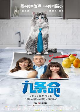 天堂网a